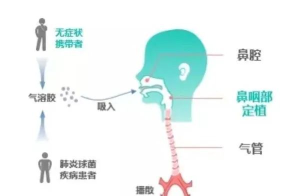 警惕！它被称为2岁以下宝宝的健康杀手 预防是关键