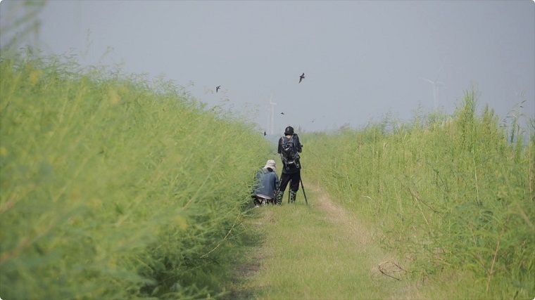 一群“野孩子”的生态梦想