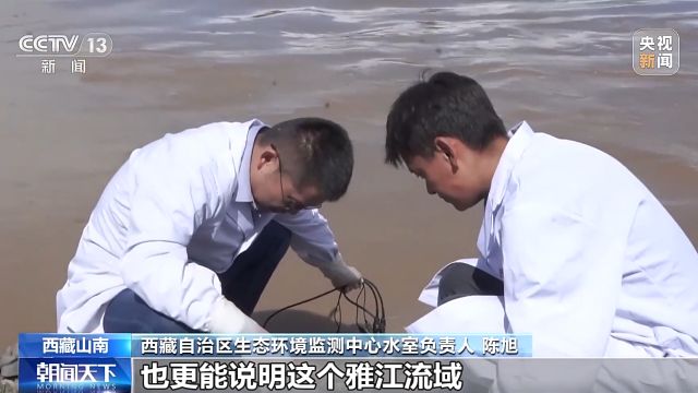 青藏高原今后将如何保护？这部法律今起施行