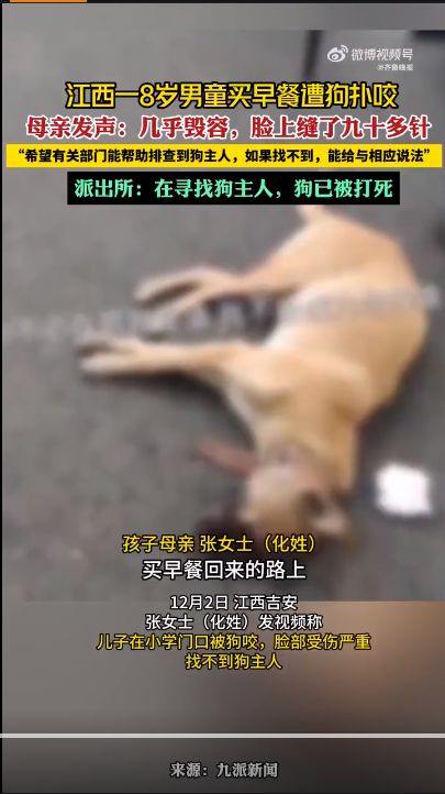 江西8岁男童遭狗扑咬：几乎毁容，脸上缝了九十多针