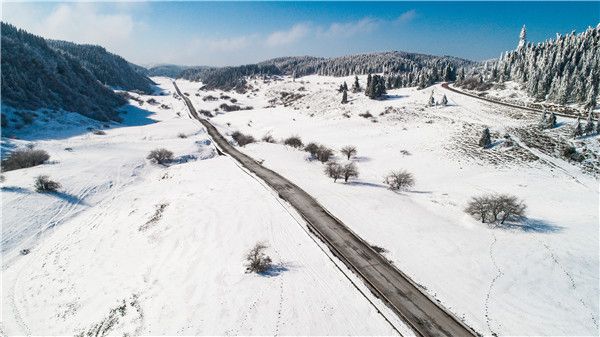 住在“诗和远方”的世外桃源 仙女山景区神仙级民宿营业 住在“诗和远方”的世外桃源 仙女山景区神仙级民宿营业