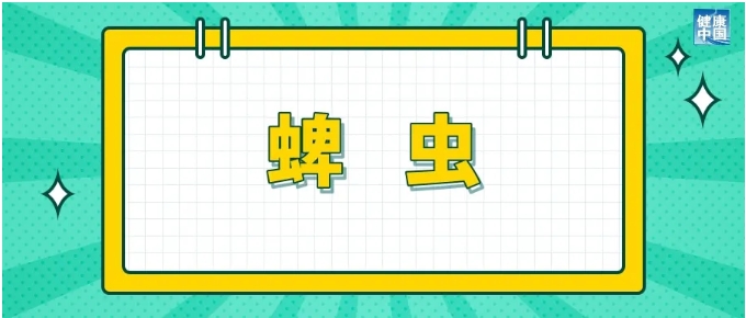 被这些小虫子咬了,处理方法跟被蚊子咬了不一样 被这些小虫子咬了,处理方法跟被蚊子咬了不一样