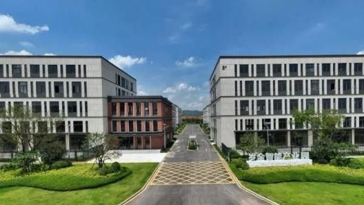 闽商回归，创业先锋：岁金助力福建培育产业“新质生产力”
