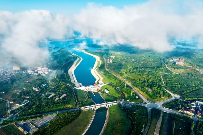 丹江湿地鸟翩跹